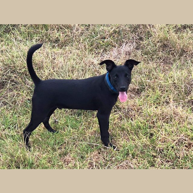 Photo of Cooper