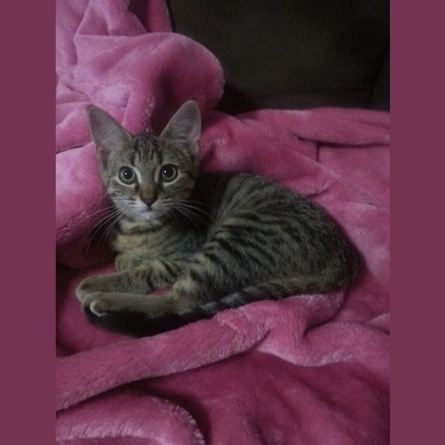 Photo of Clarissa