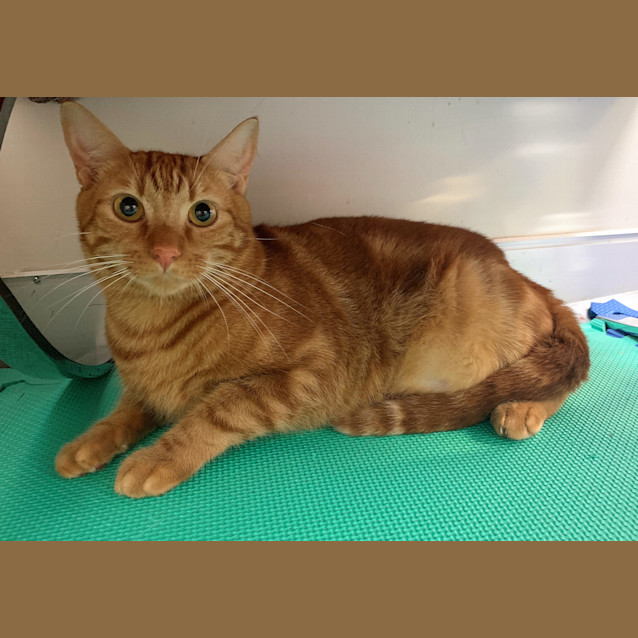 Photo of Archie And Amber