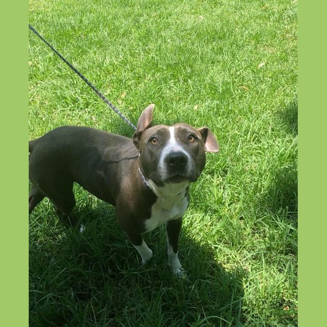 Photo of 1098 Marley