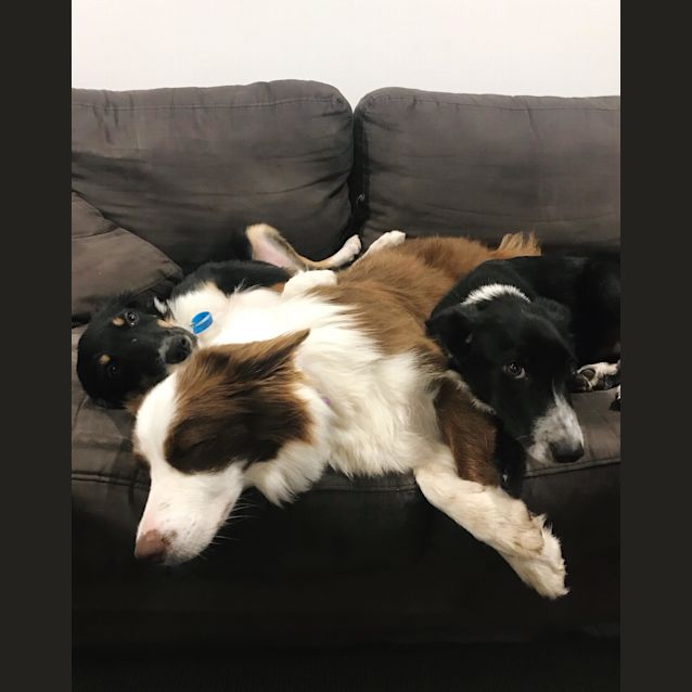 Photo of Flash 