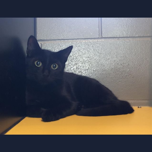 Photo of Sammy
