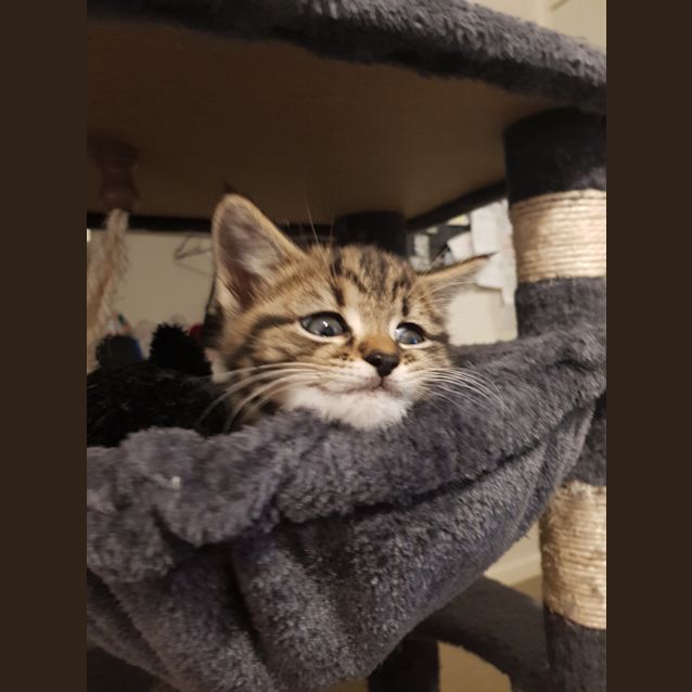Photo of Perry Smoochy Winkle