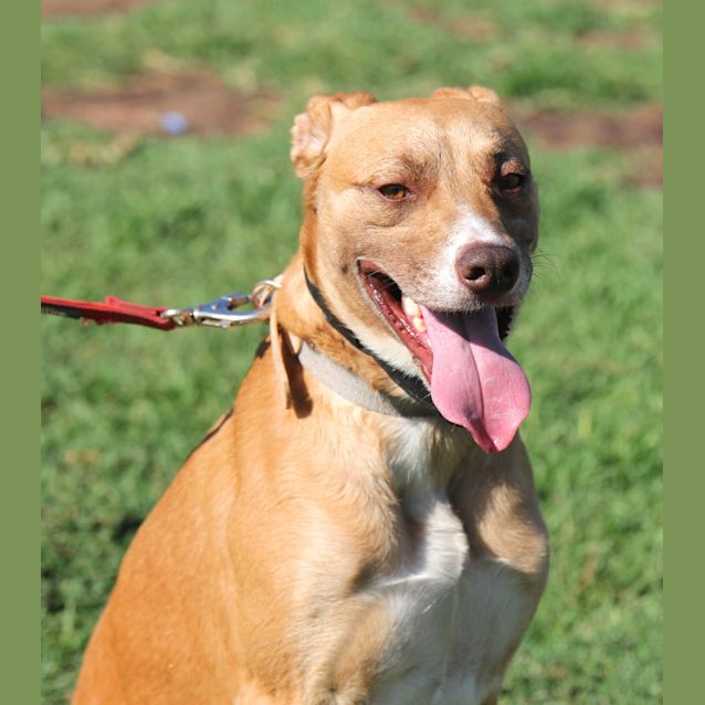 Photo of Fabio  ** On Trial **