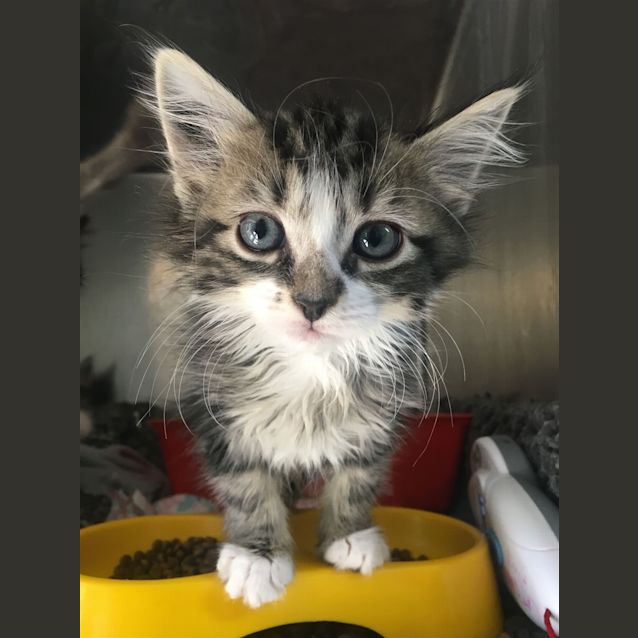 Photo of Monty