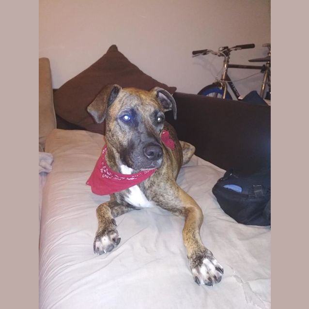 Photo of Kyla Dl2093