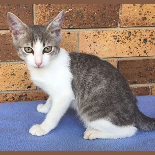 Photo of Stormy