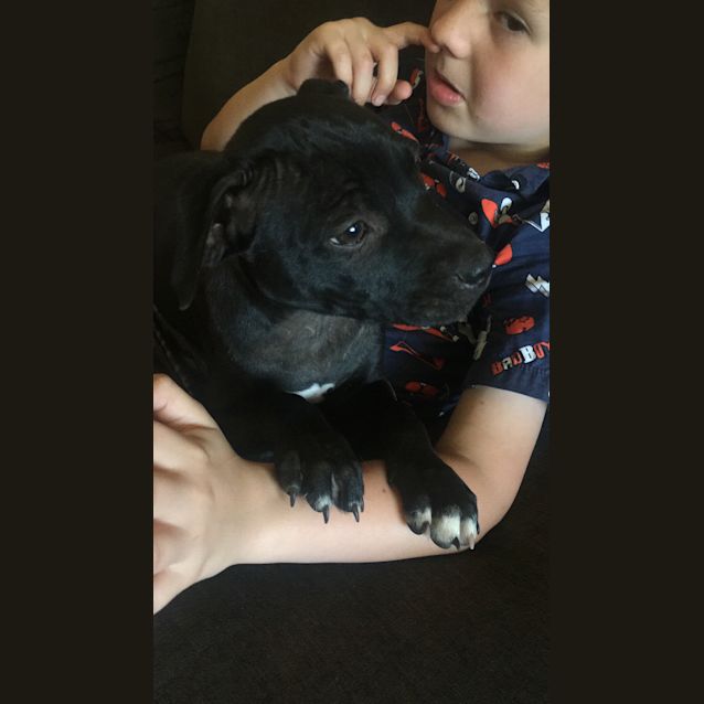 Photo of Love