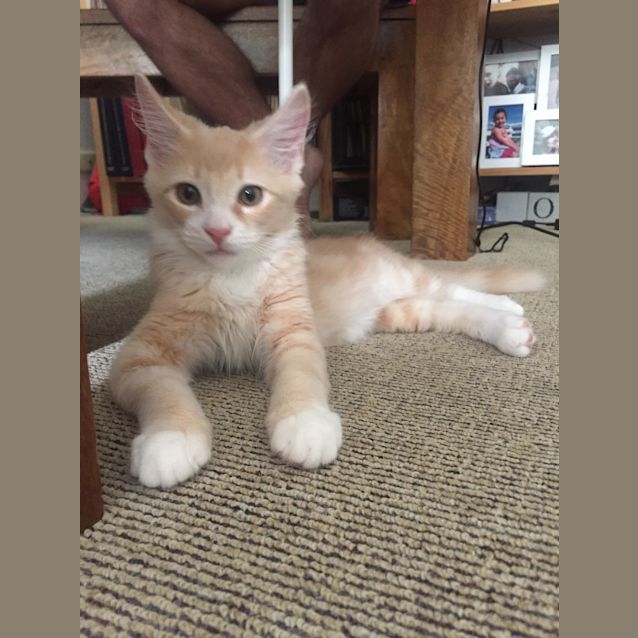 Photo of Borris 