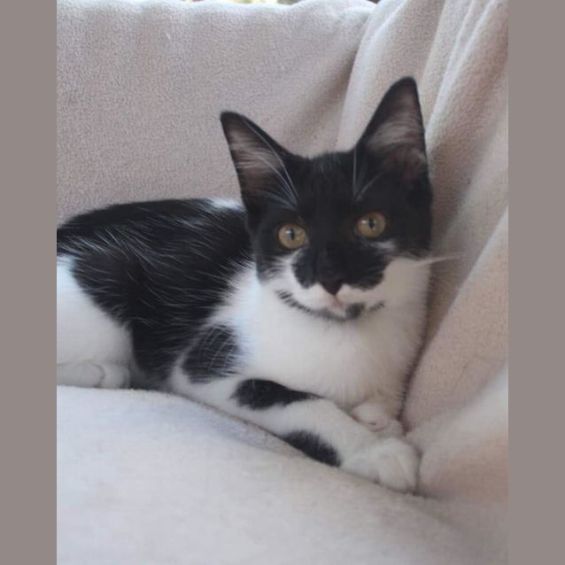 Photo of Wilma 