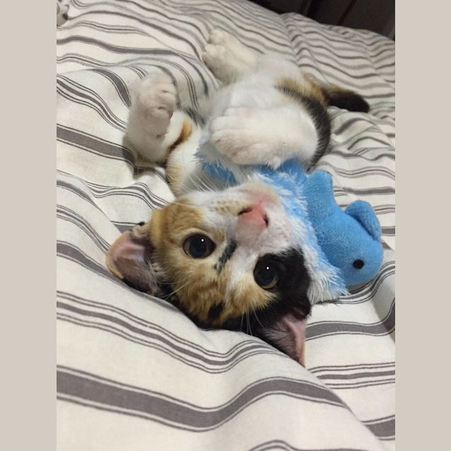 Photo of Mia