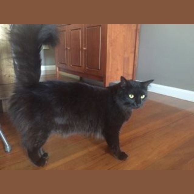 Photo of Coco