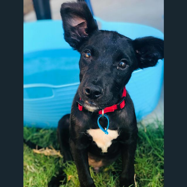 Photo of Ted 