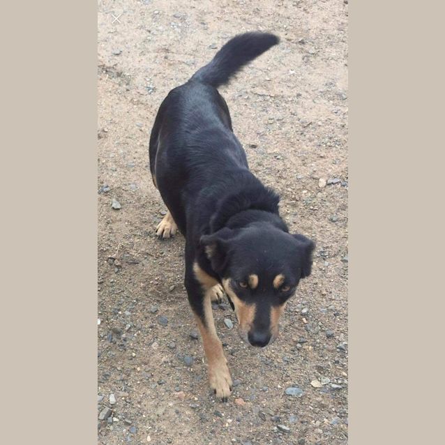 Photo of Penny **On Trial**