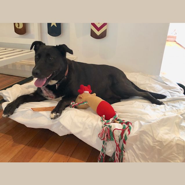 Photo of Millie