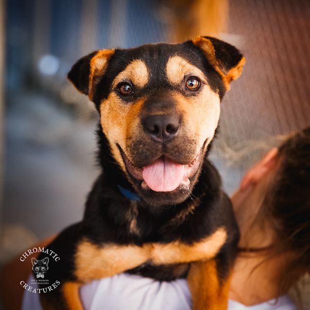 Photo of Daisy