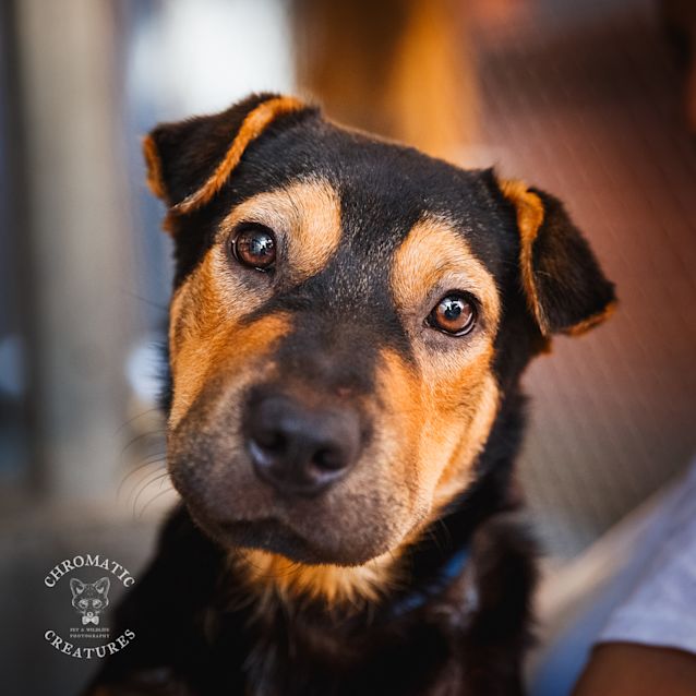 Photo of Kali