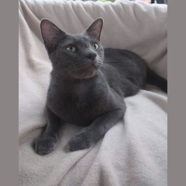 Photo of Jorah 
