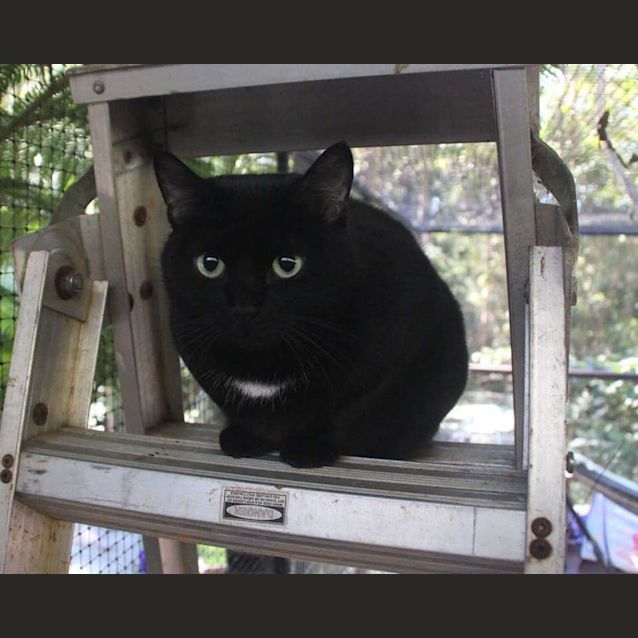 Photo of Abby 