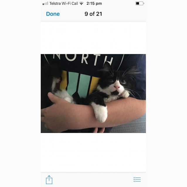 Photo of Tux