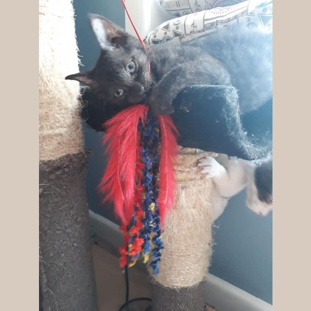 Photo of Nina