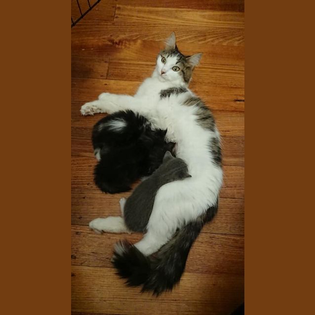 Photo of Mia