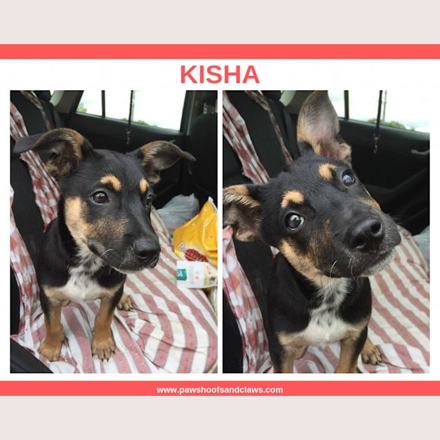 Photo of Kisha