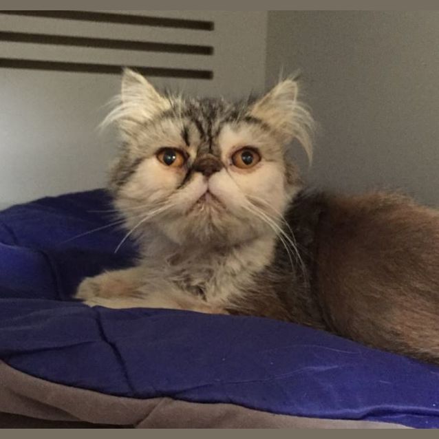 Photo of Sebastian