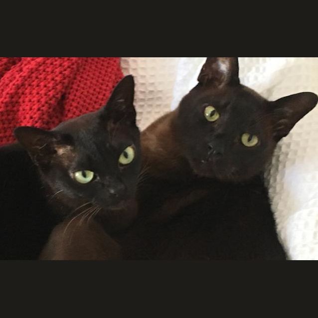 Photo of Lucy & Ziggy