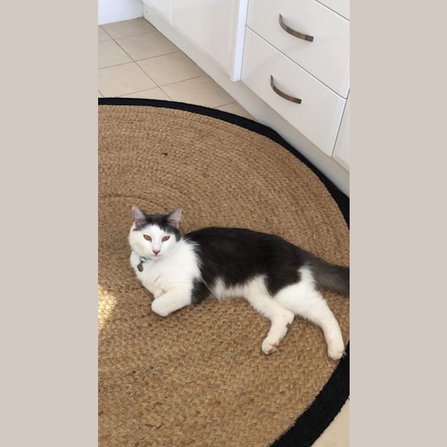 Photo of Koga