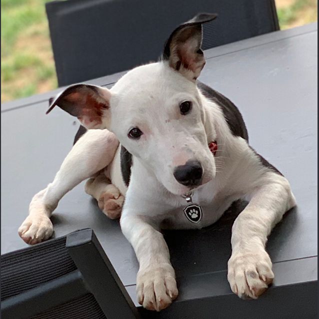 Photo of Sally