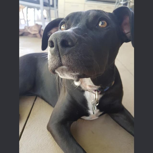 Photo of Lola