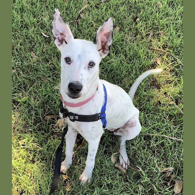 Photo of Elsa