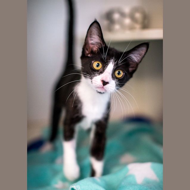 Photo of Ivy