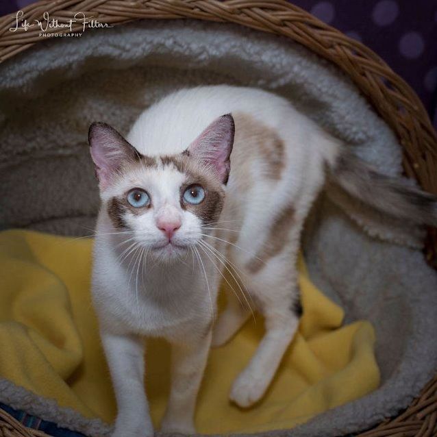 Photo of Meiko