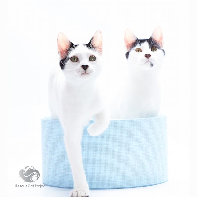 Photo of Johnny & Paul