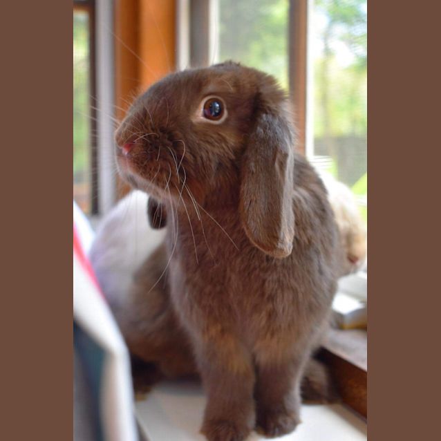 Photo of Meixy And Hayo