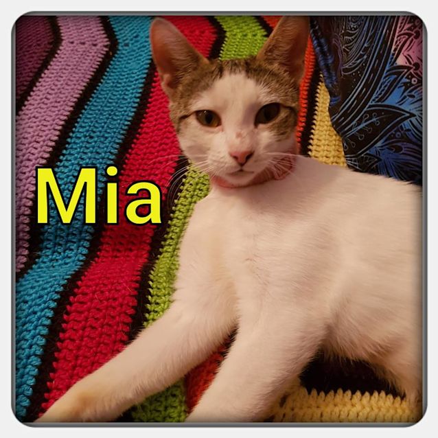Photo of Mia