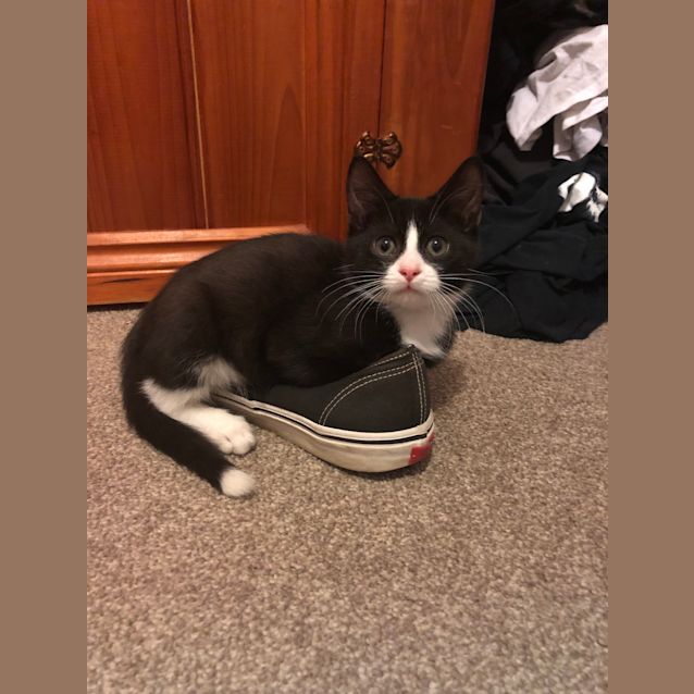 Photo of Jeff 