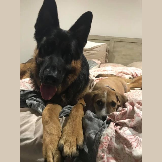 Photo of Bentley