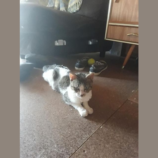 Photo of Mia 