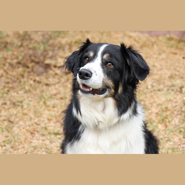 Photo of **On Trial** Max