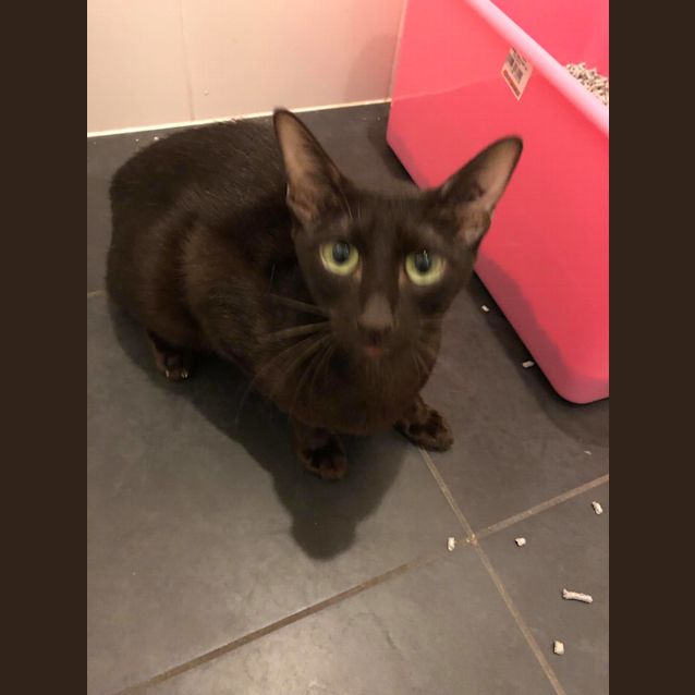 Photo of **On Trial** Gemma