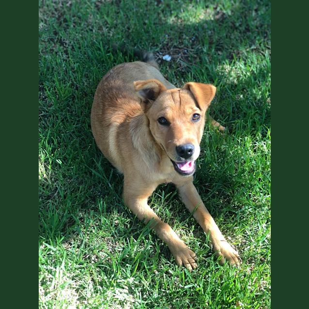 Photo of Hailey