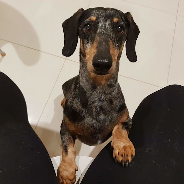 Photo of Theodore