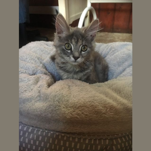Photo of Cloud 