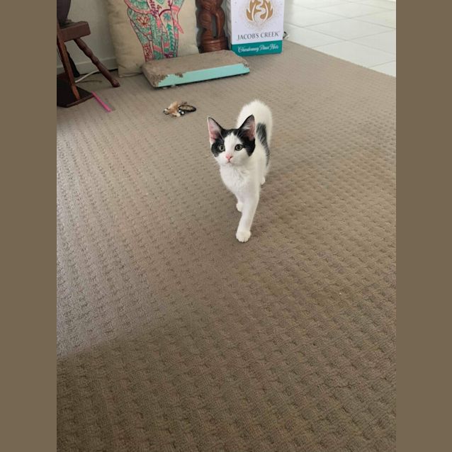 Photo of Porscha