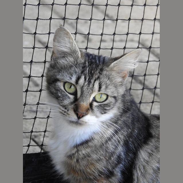 Photo of Belle