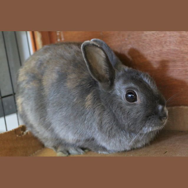 Photo of June