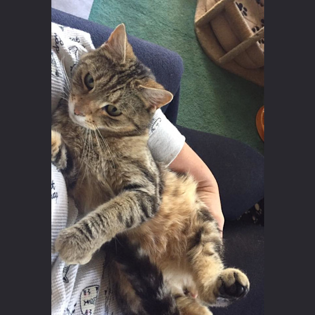 Photo of Izzy